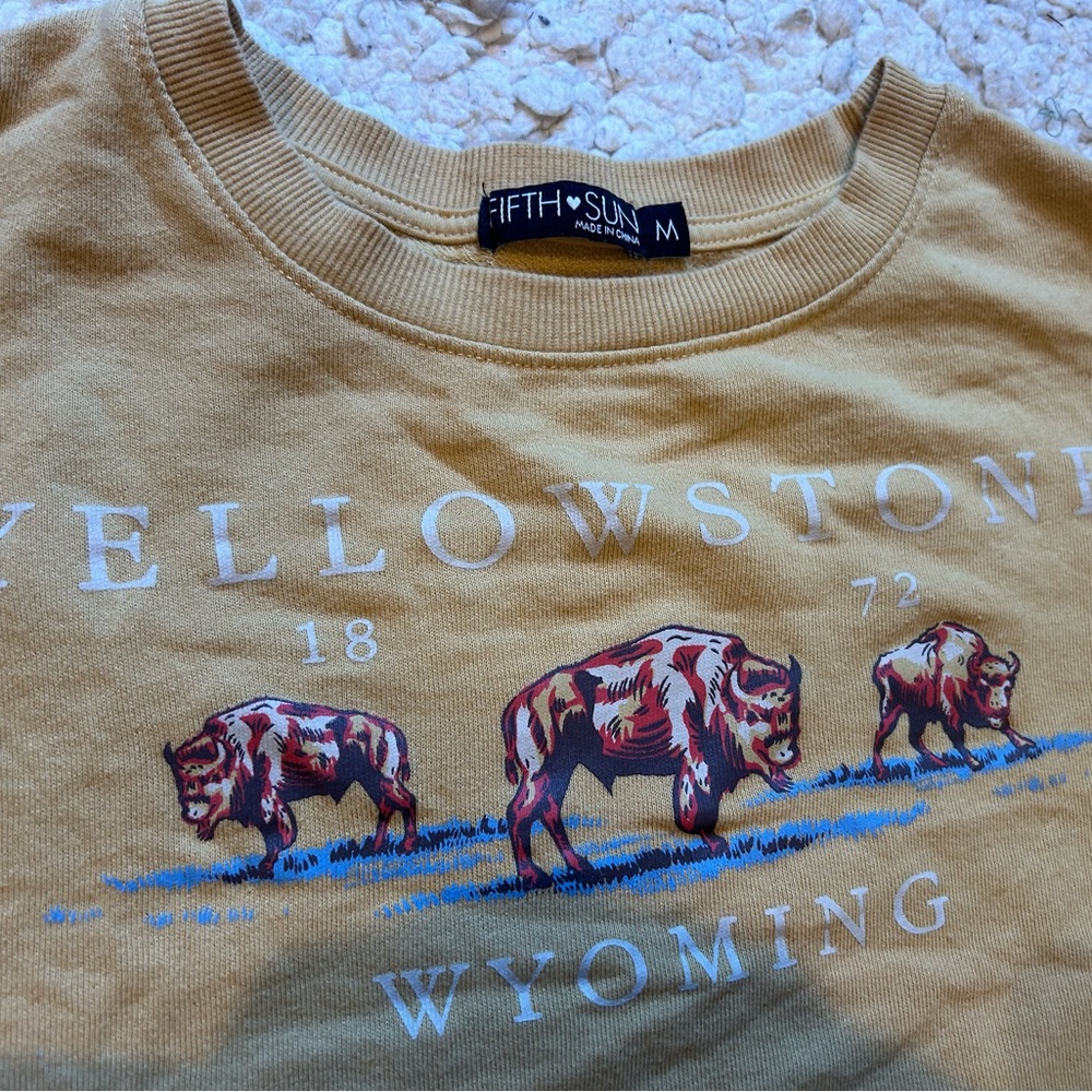 Fifth Sun Yellowstone Bison Tee in Tan